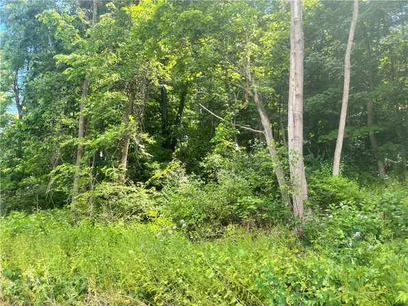 1637 Pennsylvania Ave Lot 57, Pine City, NY 14871