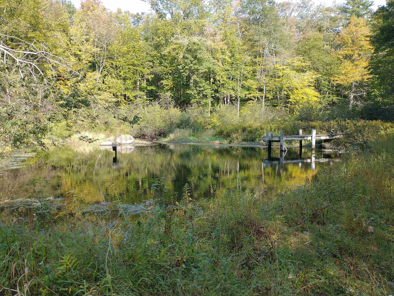 1225 Josh Road, West Halifax, VT 05358 MLS 4972429 Zillow