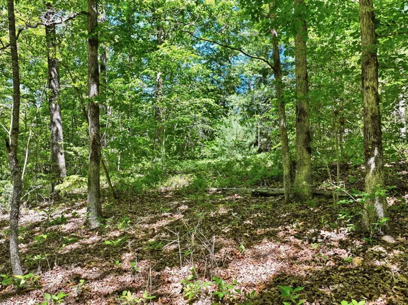 201 Spookhaven Ln, Clarkesville, GA 30523