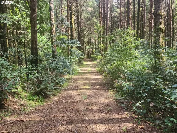 Cemetery Loop Rd #2300, Pt Orford, OR 97465