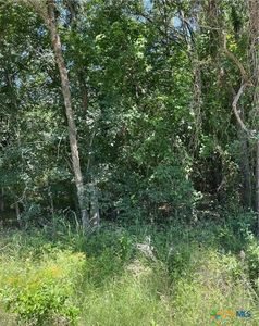 SW County Road 3130, Purdon, TX, 76679