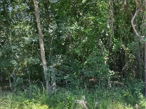 SW County Road 3130, Purdon, TX 76679