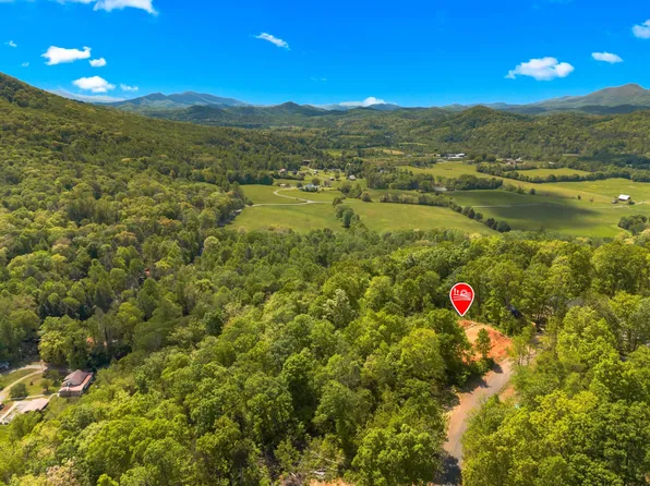 520 Stevia Way, Cosby, TN 37722
