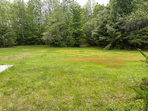 230 White Mountain Hwy #B Photo 1