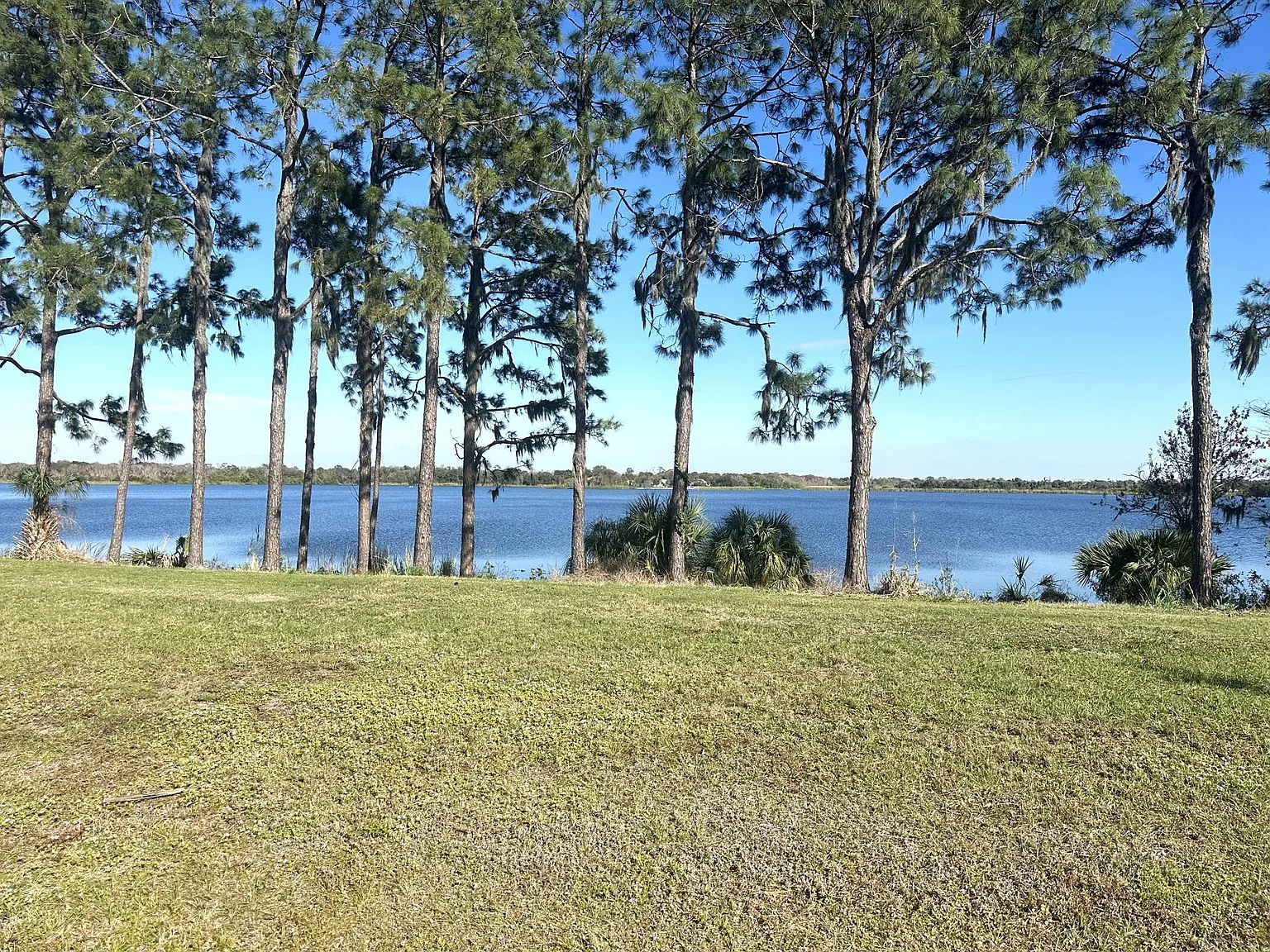 4 bed, 3.5 bath, 2624 sqft, $3,295 — Photo 2