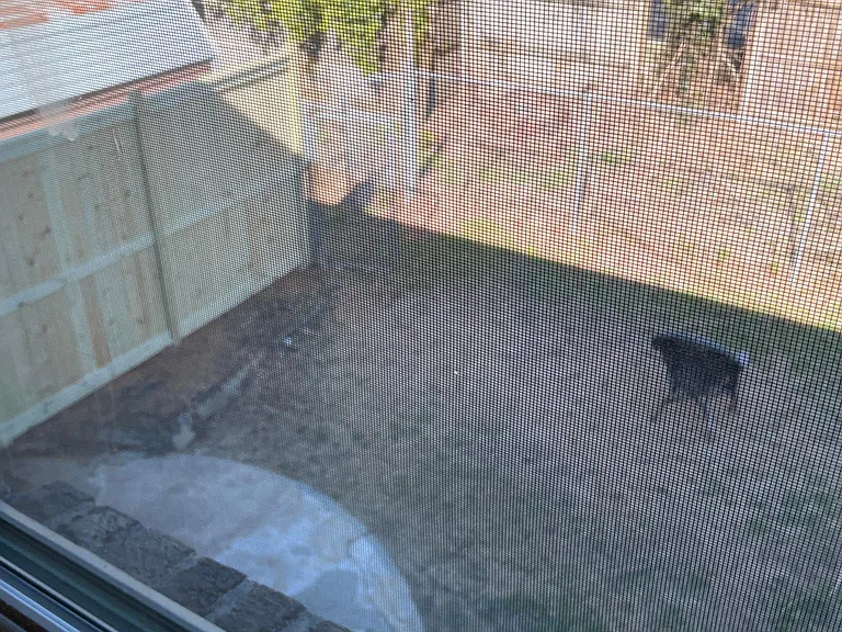 View from upstairs to backyard