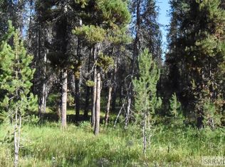 3630 Sparrow Hawk St, Island Park, ID 83429