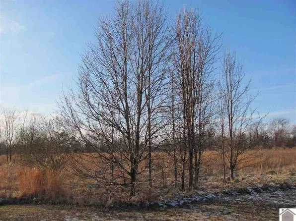 1525 Cuba Rd, Mayfield, KY 42066