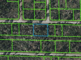 3350 Spoonbill Ave, Lake Placid, FL 33852