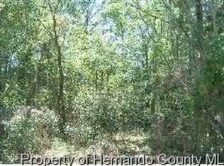 12996 Drysdale St, Spring Hill, FL 34609