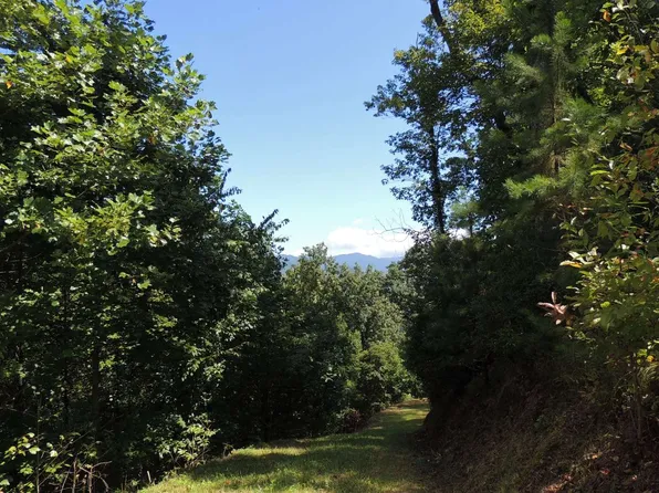 43 Silo Vw, Marble, NC 28905