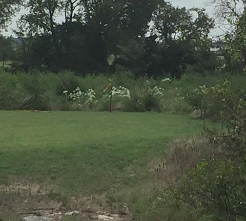 5th image of 4833 High Plains Ct