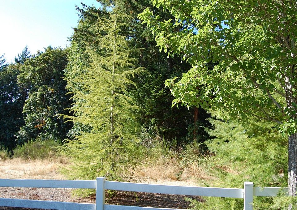2nd image of 0 54th Ave NW