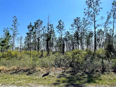 LOT 7 Chellsey St, Wewahitchka, FL, 32465