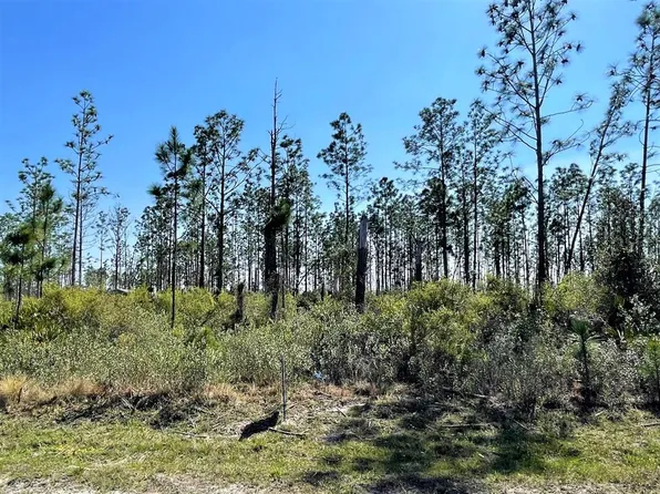 LOT 7 Chellsey St, Wewahitchka, FL 32465