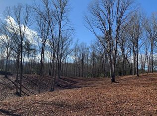 Payne Rd, Brasstown, NC 28902