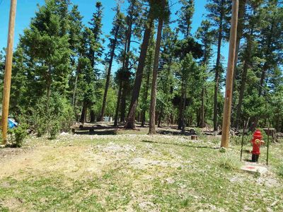 1110 Jim Tom Way, Cloudcroft, NM, 88317