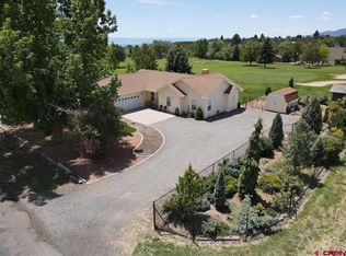920 SE Deer Creek Dr, Cedaredge, CO 81413