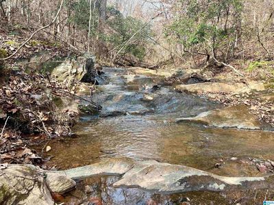0 County Road 865, Roanoke, AL, 36274