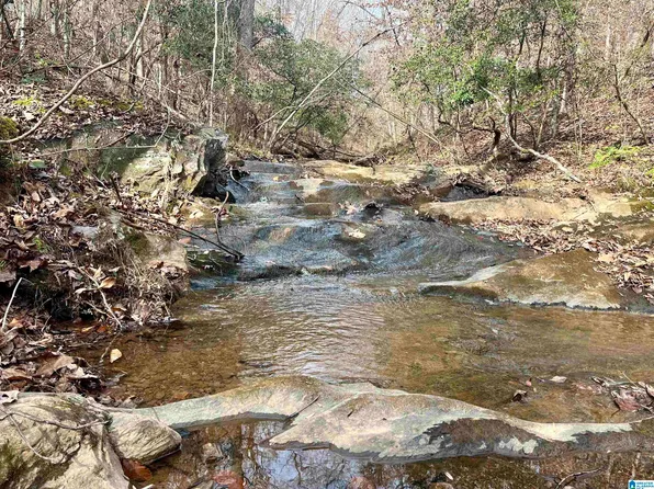 0 County Road 865, Roanoke, AL 36274