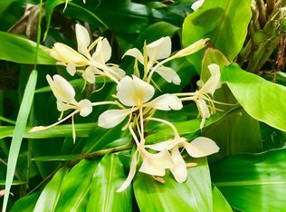 Road 2 LOT 80, Volcano, HI 96785