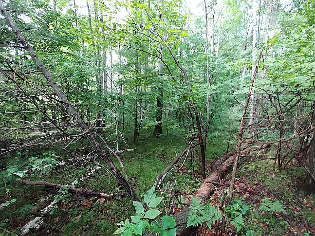 1st image of LOT 4 Havenwood Hills Dr