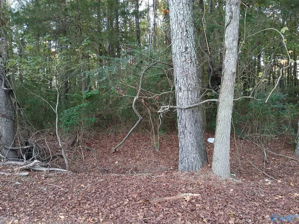 108 County Road 366, Trinity, AL 35673