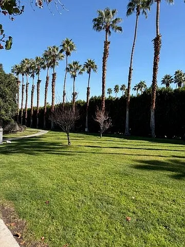 48790 Desert Flower Dr — Photo 6