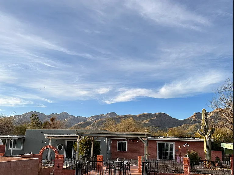 backyard view