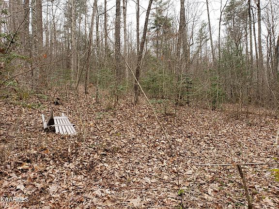 5th image of Ashley Ln