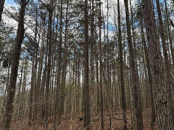 2nd image of 0 Macedonia Rd