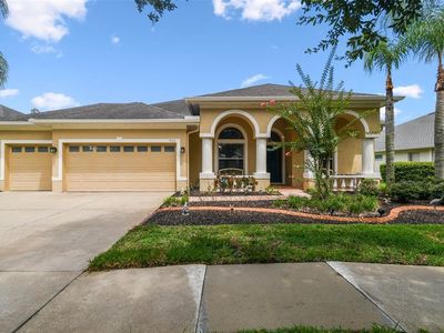 9311 Mangrove Ct, Tampa, FL, 33647