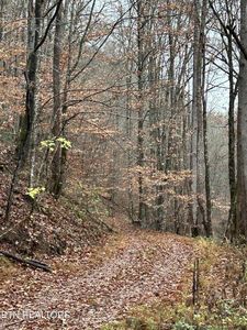 0 Highway 61 E, Maynardville, TN, 37807