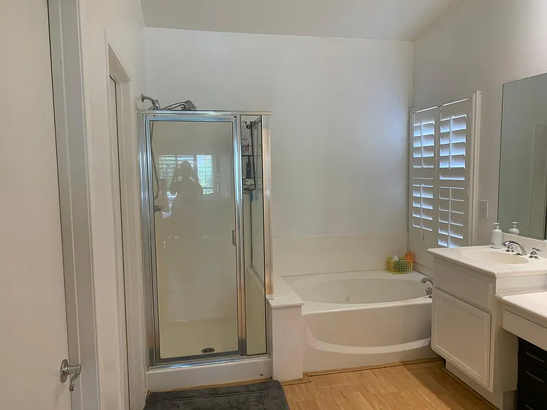 Master bathroom