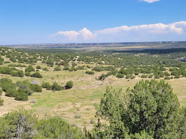 6702 Waterbarrel Rd, Beulah, CO 81023