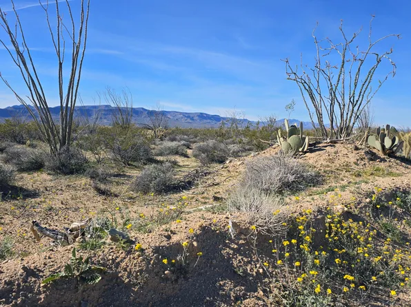 3035 S Castle Butte Rd, Yucca, AZ 86438
