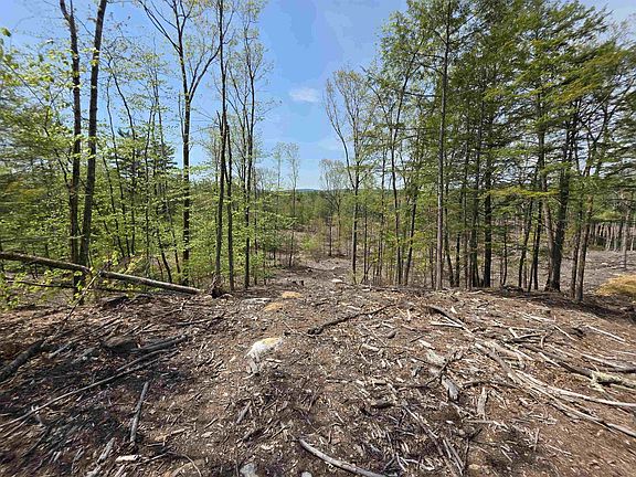 2nd image of Map 417 Lot 51-1 Shannon Road
