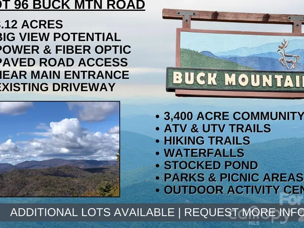 Buck Mountain Rd #96, Purlear, NC 28665