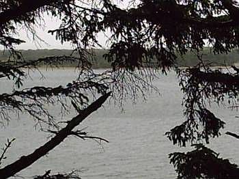 1st image of 29295 Highway 101 N
