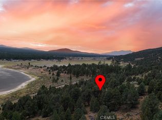 2783 Erwin Ranch Rd, Big Bear City, CA 92314