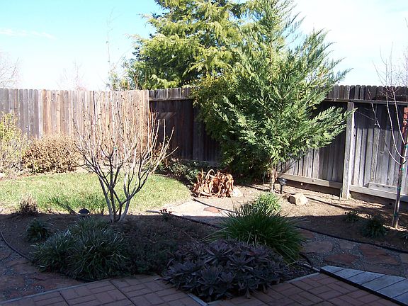 Fully Landscaped yard