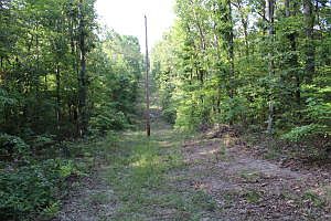 5th image of 3199 Marion County #6014