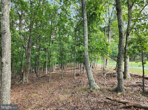 Timber Ridge Rd, Berkeley Springs, WV 25411