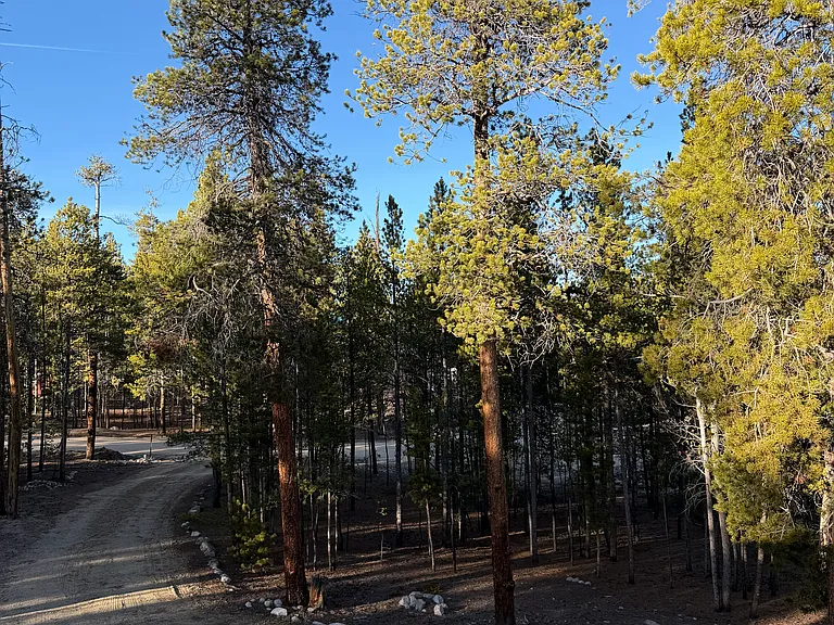 550 Peak View Dr — Photo 23