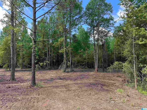 1845 Reads Mill Rd #0, Wellington, AL 36279