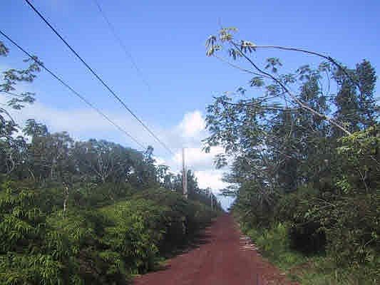 1st image of LOT 913