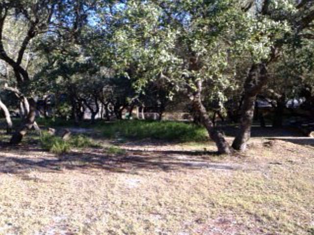 2nd image of 102 Wildwood