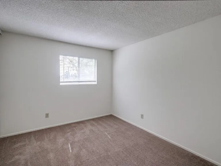 4002 Camino Calma — Photo 12