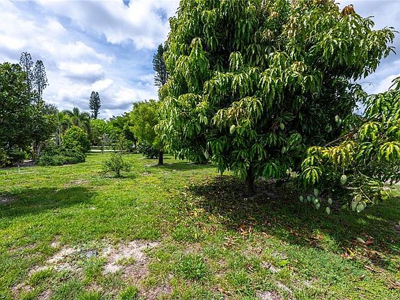 5th image of 11076 Orangewood DR