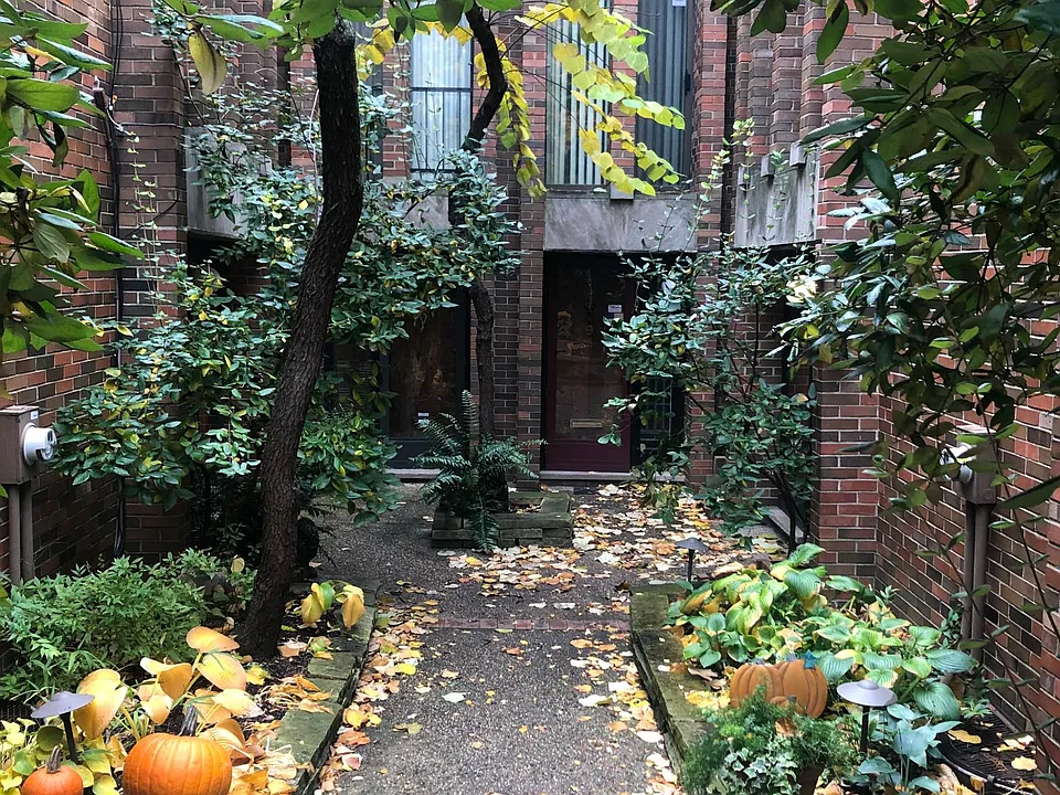 Courtyard (looking down steps leading to the unit)